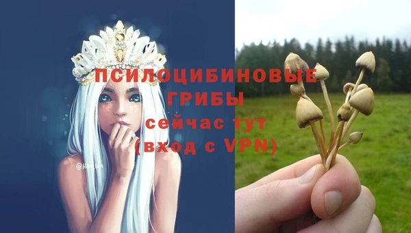 МДПВ Арсеньев